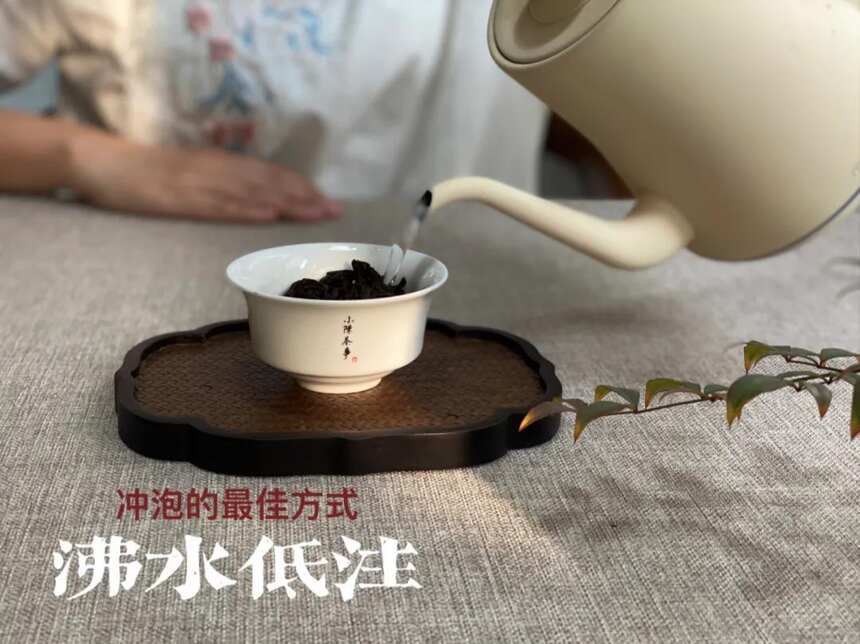 为什么泡茶时，不建议你一开始就坐杯闷泡？4点真相总算揭开了