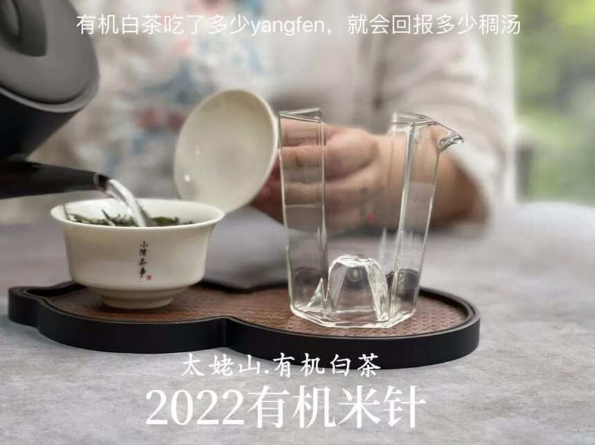 为什么泡白茶公道杯要用玻璃的，盖碗要用白瓷的？有什么讲究？