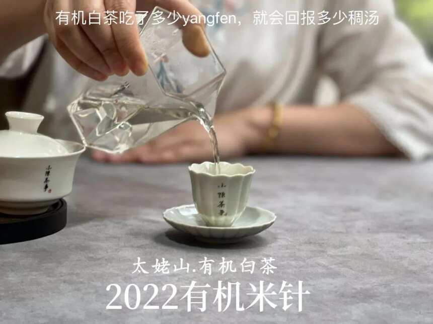 为什么泡白茶公道杯要用玻璃的，盖碗要用白瓷的？有什么讲究？