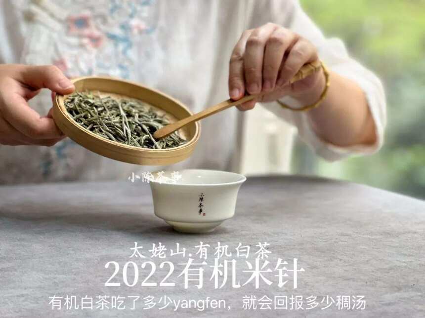 买白茶是等级越高越好吗？这些购买白茶的误区，你知道多少？