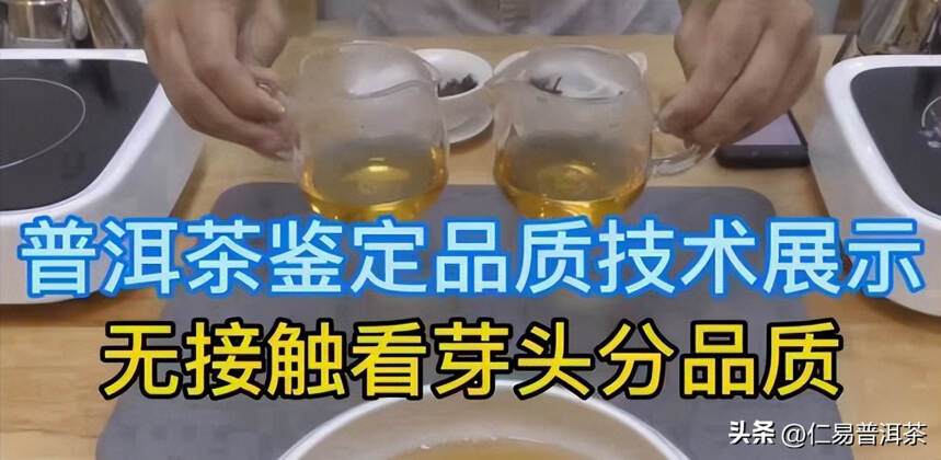 为什么看了这么多茶书，上了审评课，还是没喝懂茶？