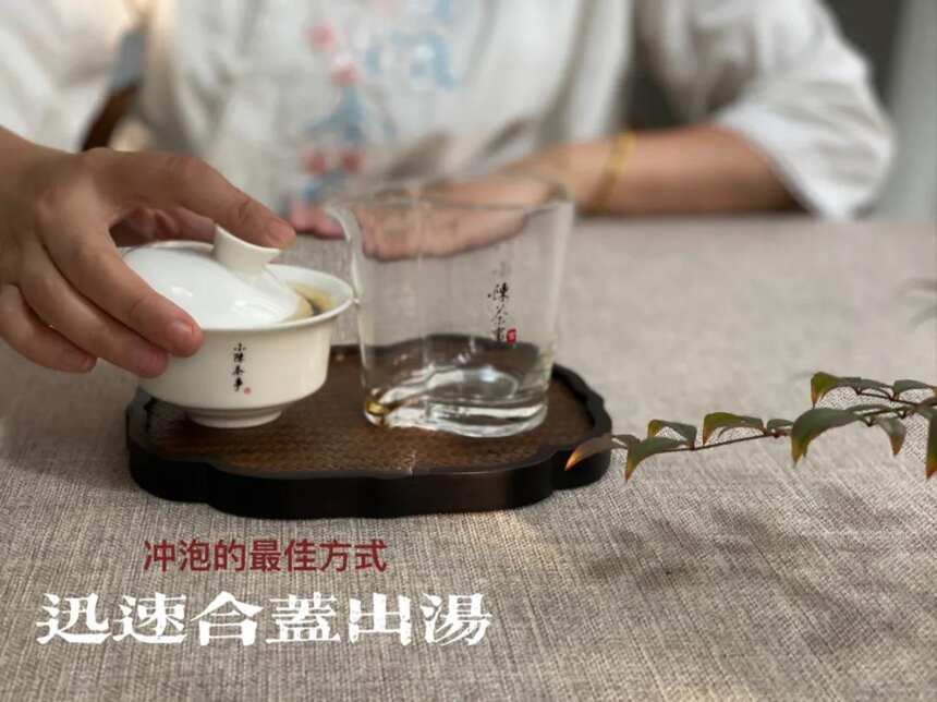 为什么泡茶时，不建议你一开始就坐杯闷泡？4点真相总算揭开了