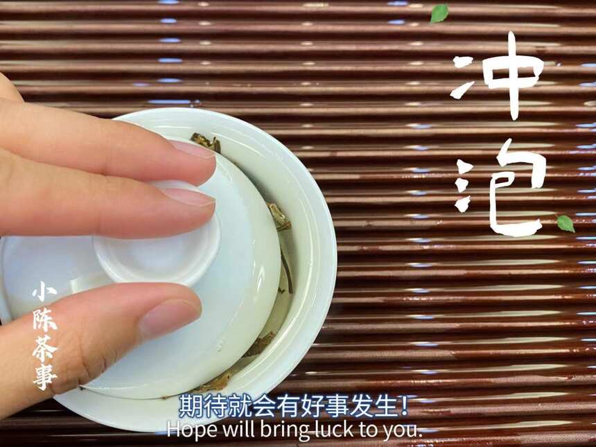 为什么泡茶时，不建议你一开始就坐杯闷泡？4点真相总算揭开了