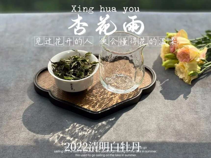 买白茶是等级越高越好吗？这些购买白茶的误区，你知道多少？