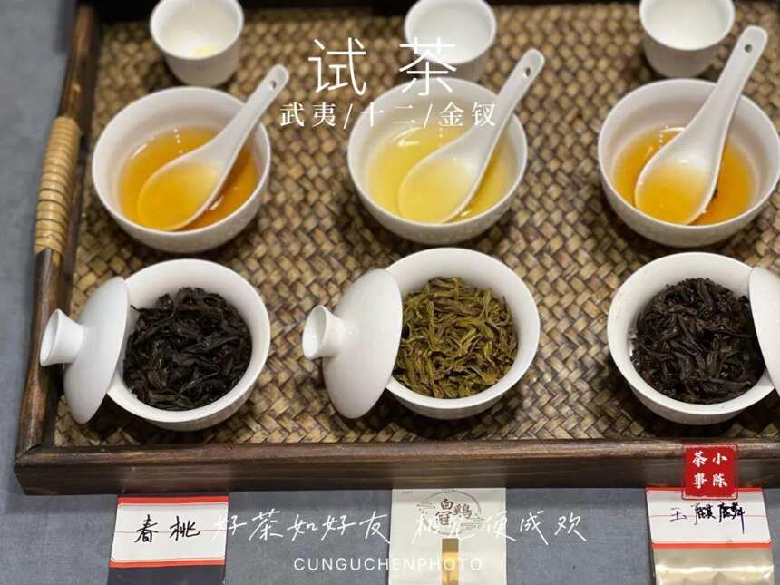 通过叶片主脉来分辨大红袍、水仙、肉桂？“以貌取茶”又出奇葩说