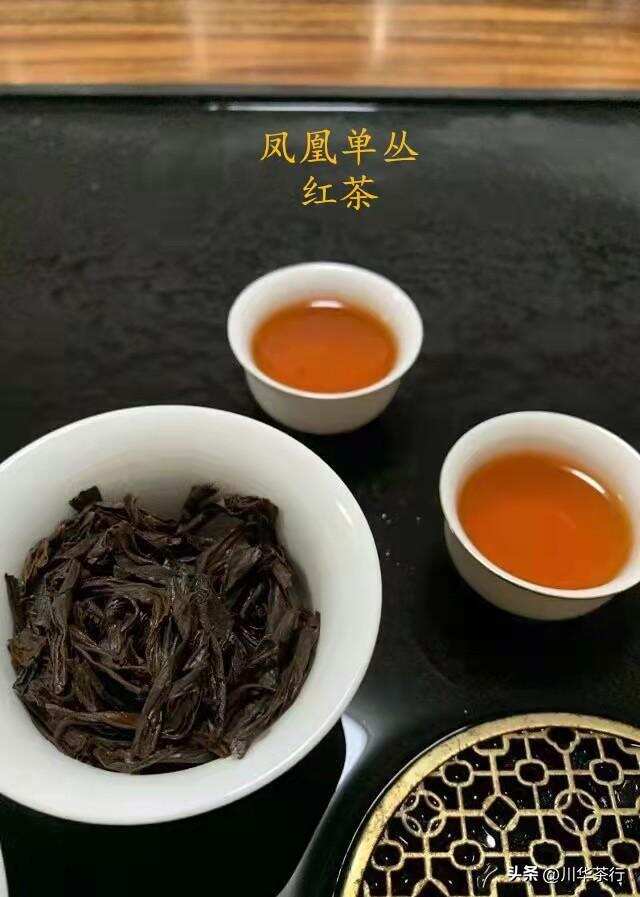 凤凰单丛口粮茶该选什么？