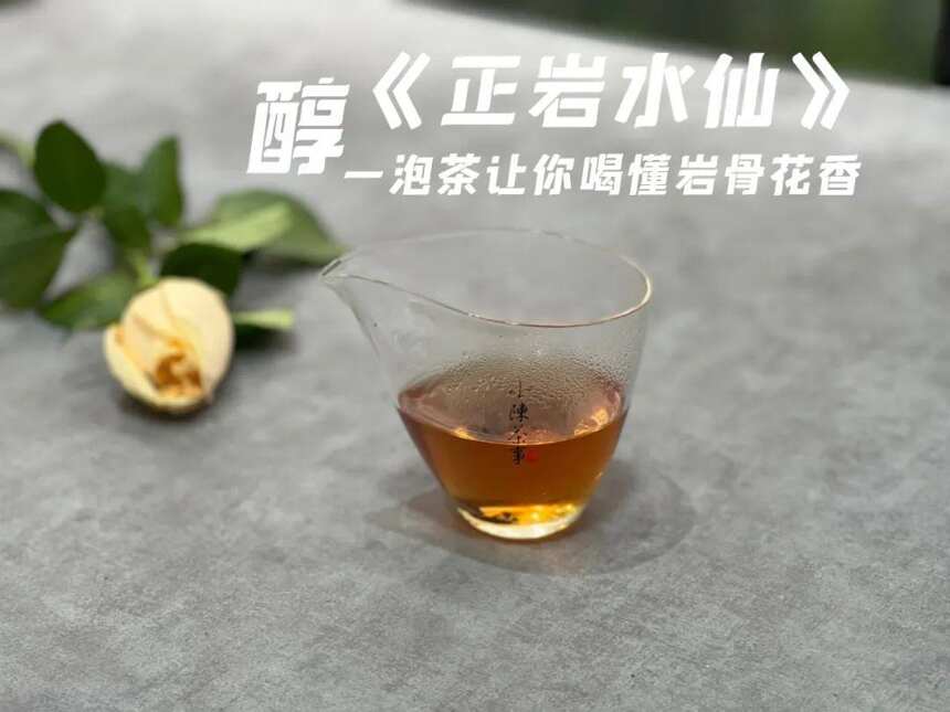 只能泡3、5冲的口粮岩茶，有没有性价比？看完你就懂了