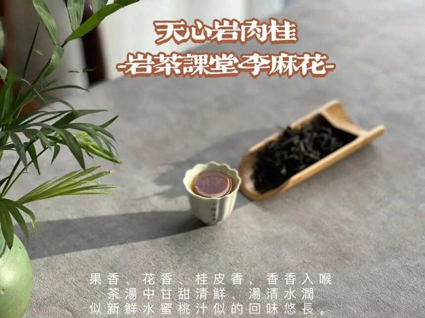 只能泡3、5冲的口粮岩茶，有没有性价比？看完你就懂了