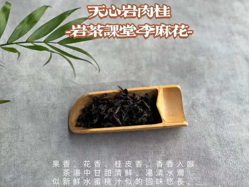 只能泡3、5冲的口粮岩茶，有没有性价比？看完你就懂了