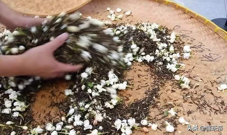 如何挑选茉莉花茶？这些要点一定要知道