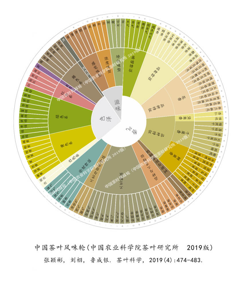 茶科普 | 有了风味轮，茶叶喝个明白！(下)