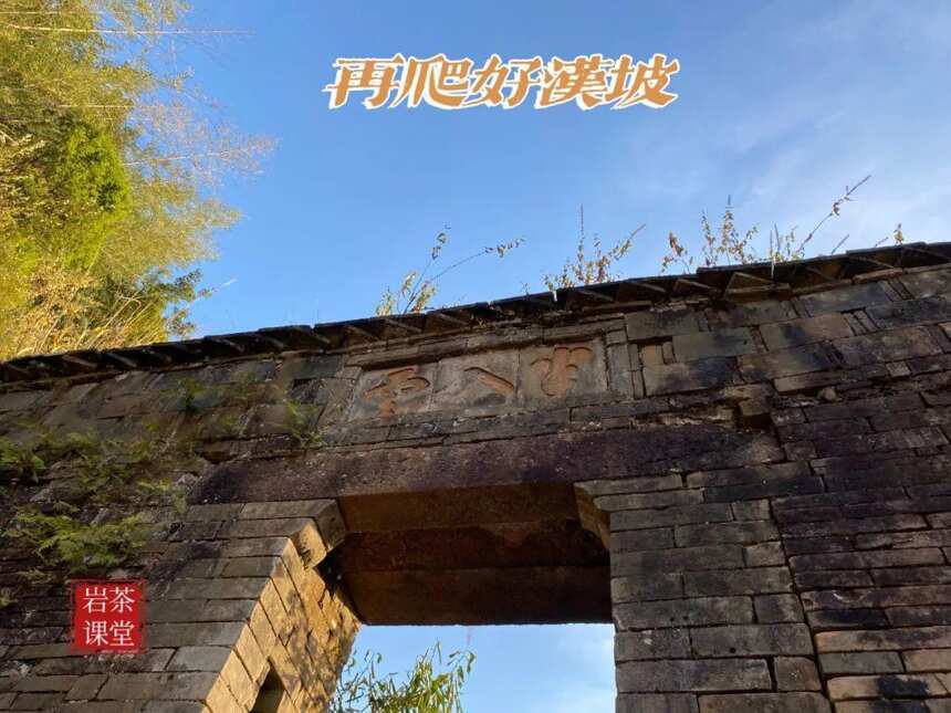 岩茶山场揭秘，九龙窠“好汉坡”与虎啸岩“好汉坡”，有何不同？