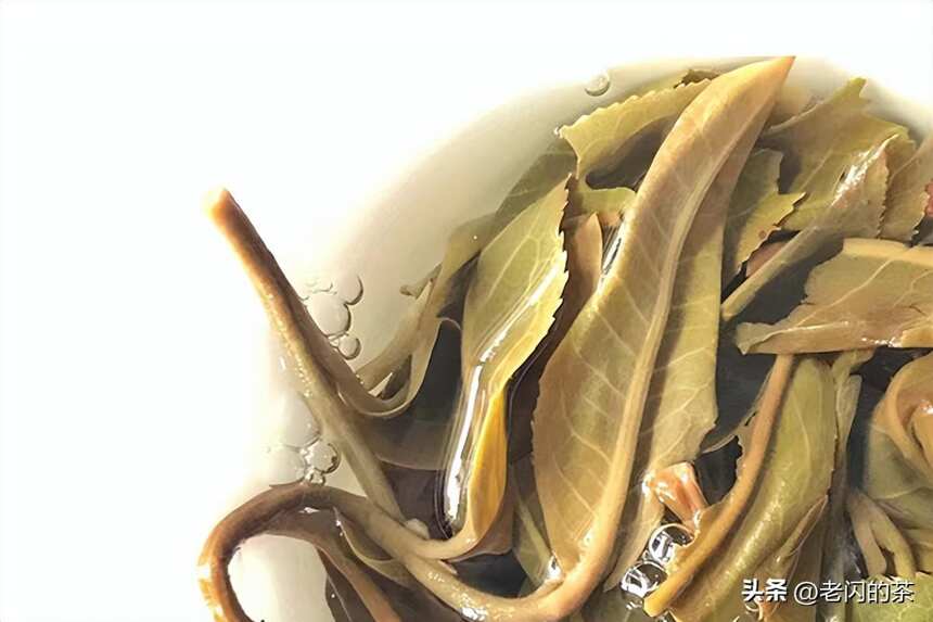 麻黑古树茶：2000亩古茶园，鲜爽度很高，达到5.64，高于老班章