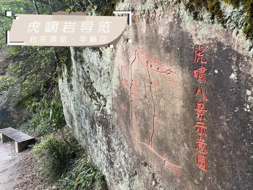 岩茶山场揭秘，九龙窠“好汉坡”与虎啸岩“好汉坡”，有何不同？