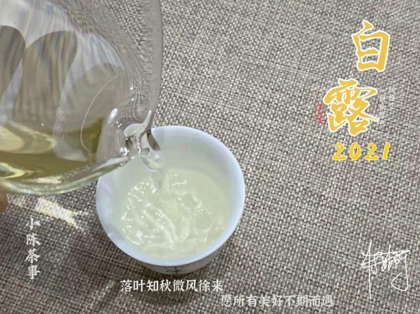 白茶里，秋茶到底值不值得买？看完这5点真相，你就明白了