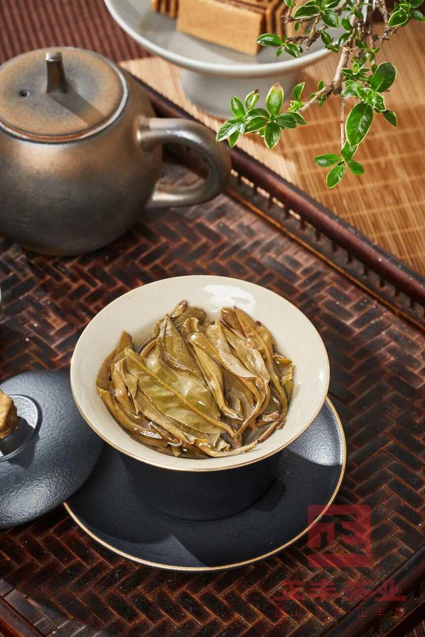 巡回品鉴｜正丰茶“雄才大略”，领略革登非一般的浓强滋味