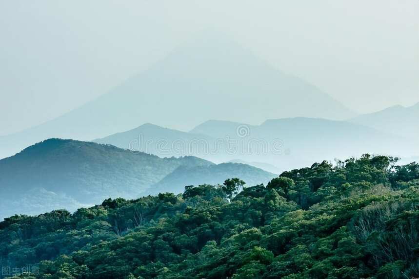 川茶之祖有何过人之处？四川蒙顶甘露与浙江龙井茶对冲评测