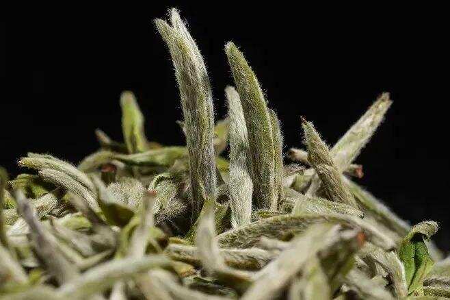 福鼎白茶冲泡秘籍丨白毫银针、白牡丹、寿眉冲泡细节各不同