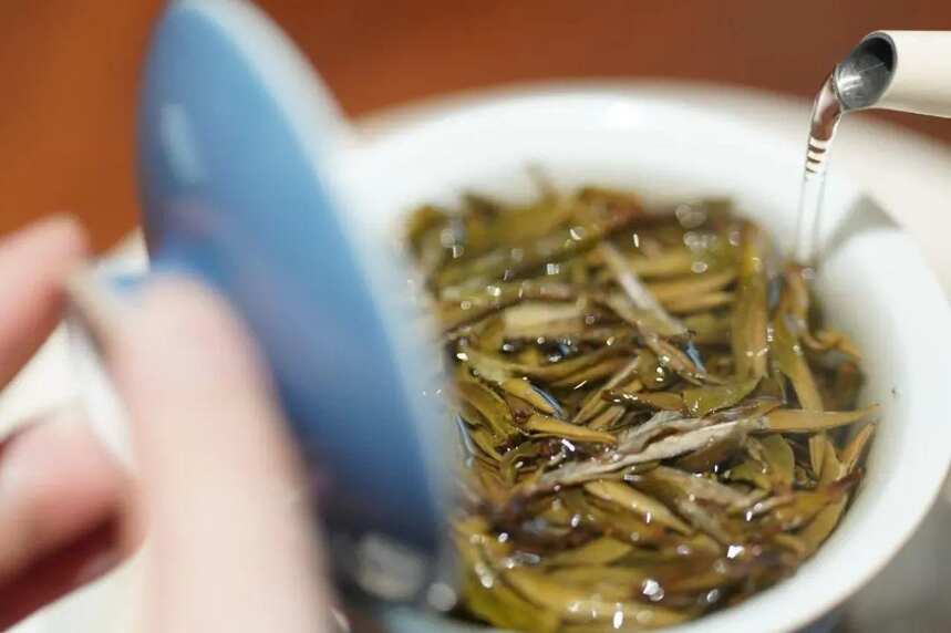 福鼎白茶冲泡秘籍丨白毫银针、白牡丹、寿眉冲泡细节各不同