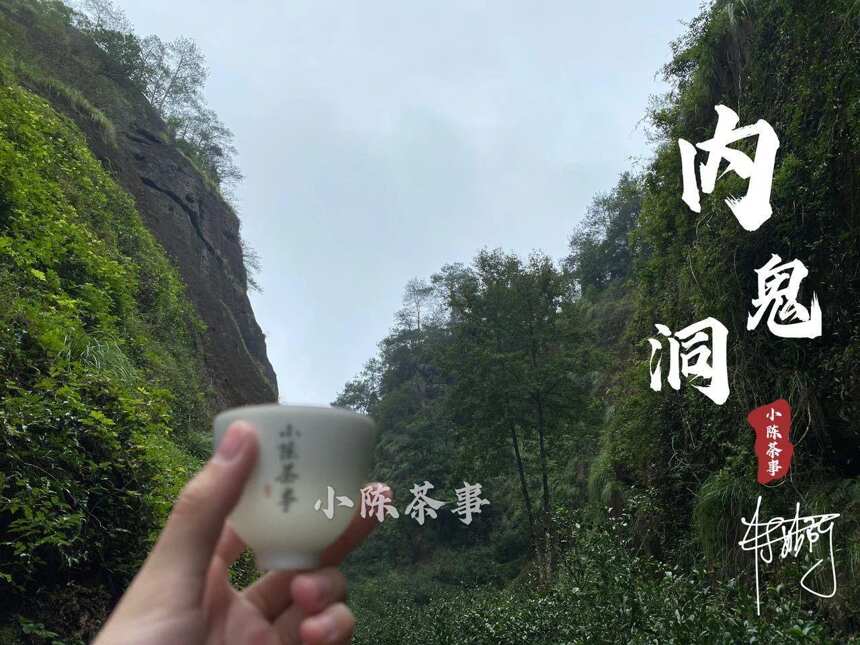 会卖茶算什么？要是没在武夷山摔过几次跤，都不算真正的茶人