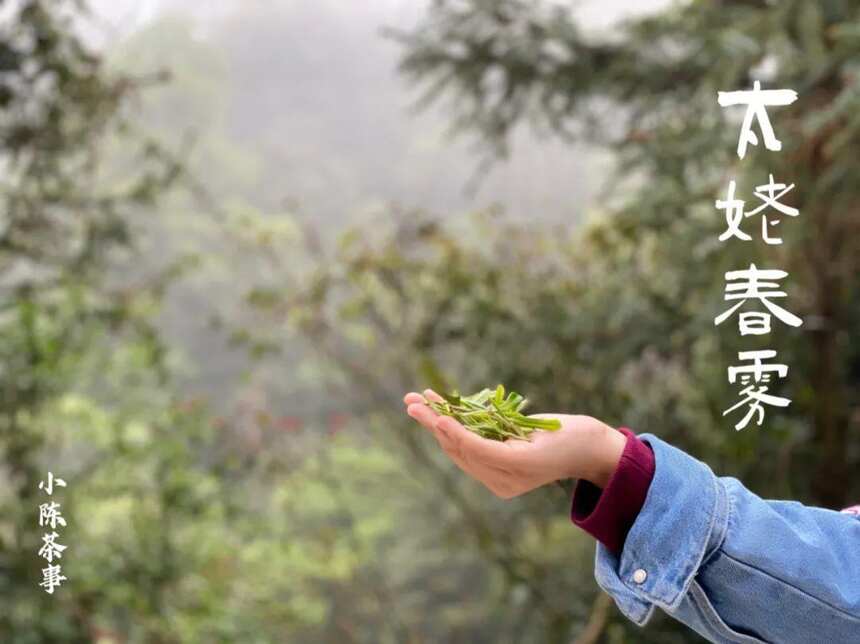 从武夷岩茶、白茶、红茶，到普洱茶，是教授懂茶，还是茶农懂茶？