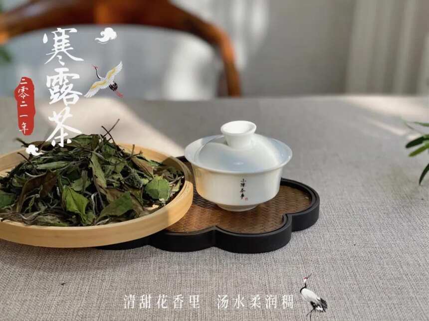 今日处暑，聊聊秋白茶里的节气茶，今年都有哪些值得期待？