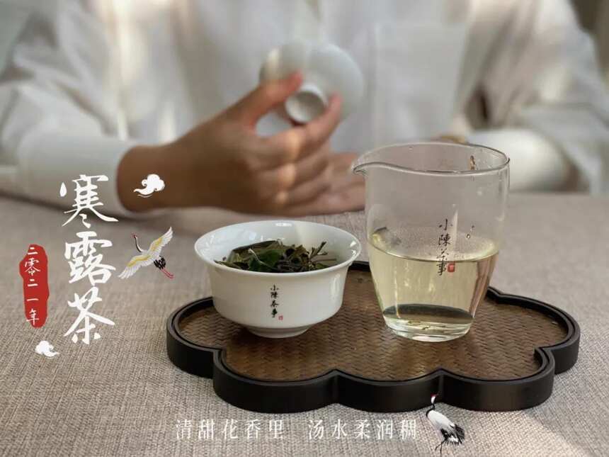 今日处暑，聊聊秋白茶里的节气茶，今年都有哪些值得期待？