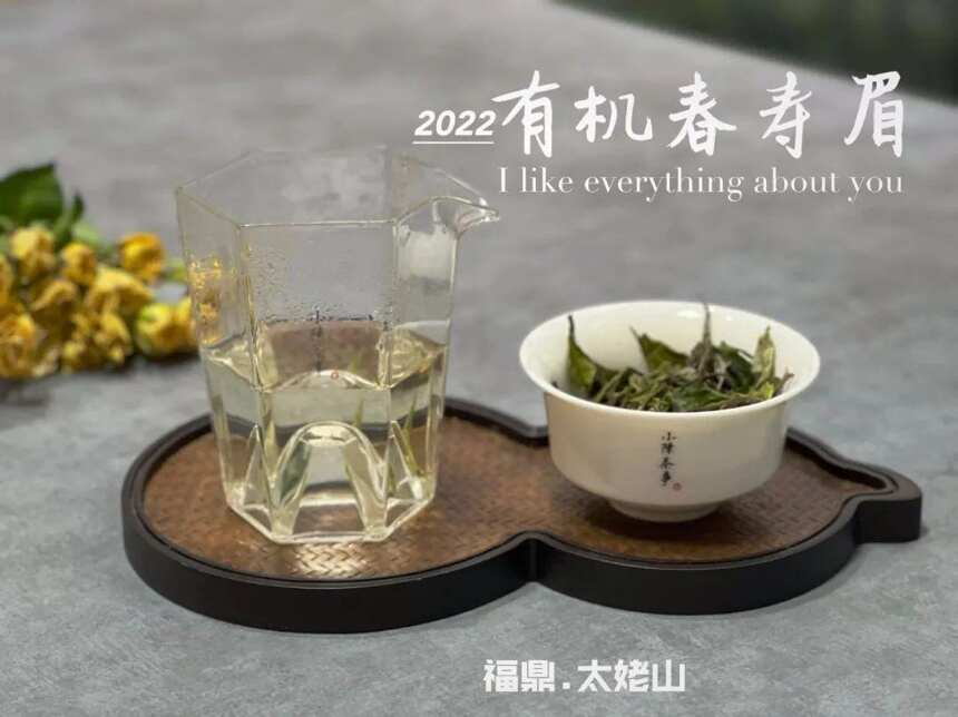 4个方向，带你看清白牡丹和寿眉的不同，买白茶不再迷茫