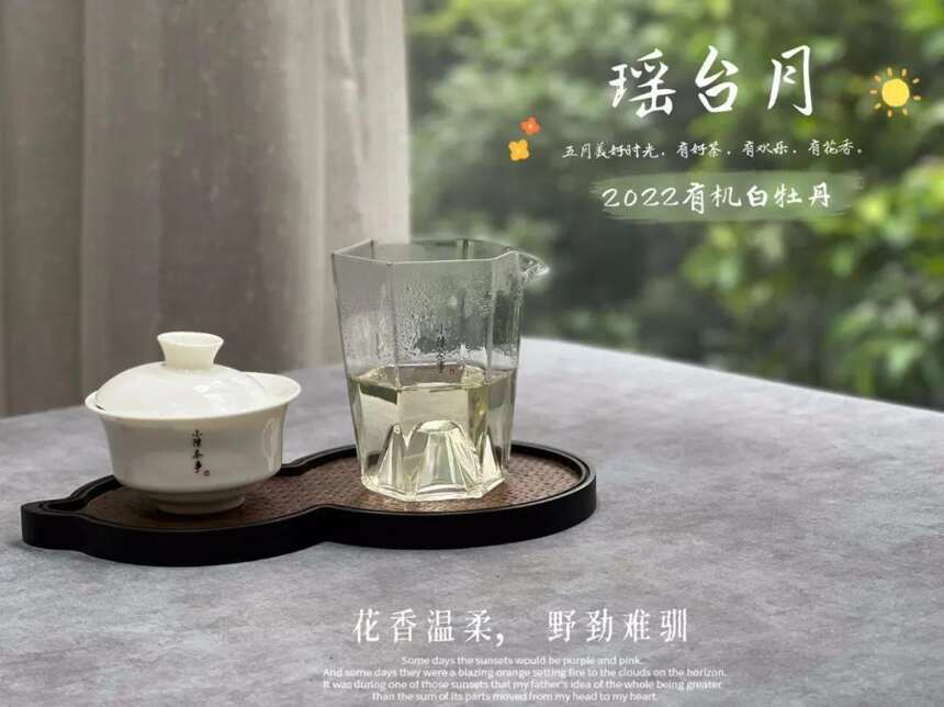 4个方向，带你看清白牡丹和寿眉的不同，买白茶不再迷茫