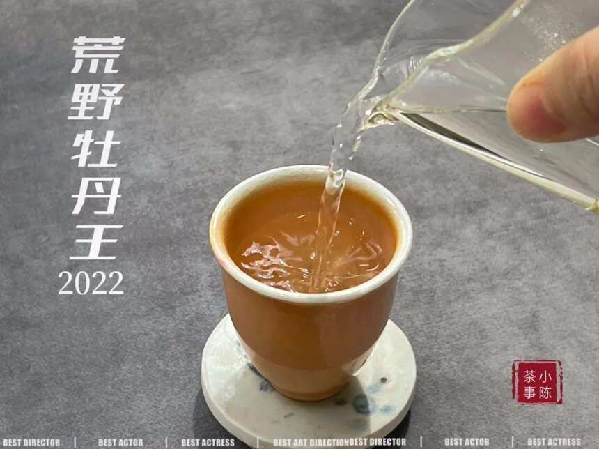 4个方向，带你看清白牡丹和寿眉的不同，买白茶不再迷茫