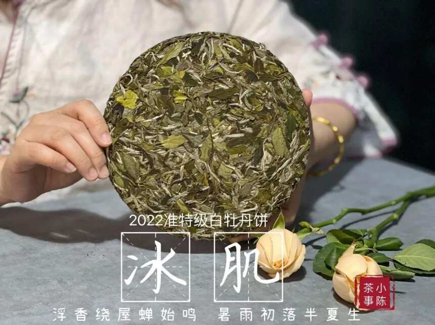 好茶不压饼，所以茶饼都是劣质茶？白茶饼的5问5答，真相来了