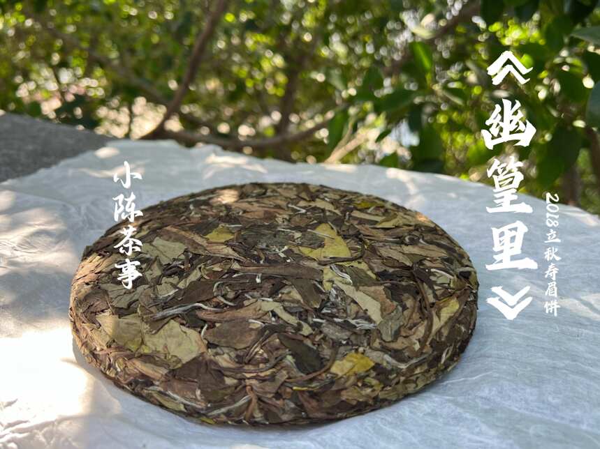 好茶不压饼，所以茶饼都是劣质茶？白茶饼的5问5答，真相来了