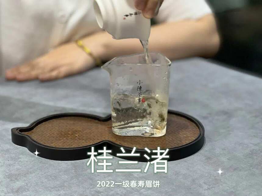 好茶不压饼，所以茶饼都是劣质茶？白茶饼的5问5答，真相来了