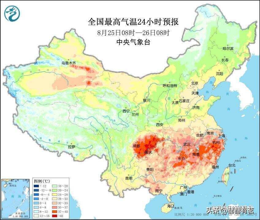 涨姿势｜天气热，如何存白茶？家庭购买和储存方法