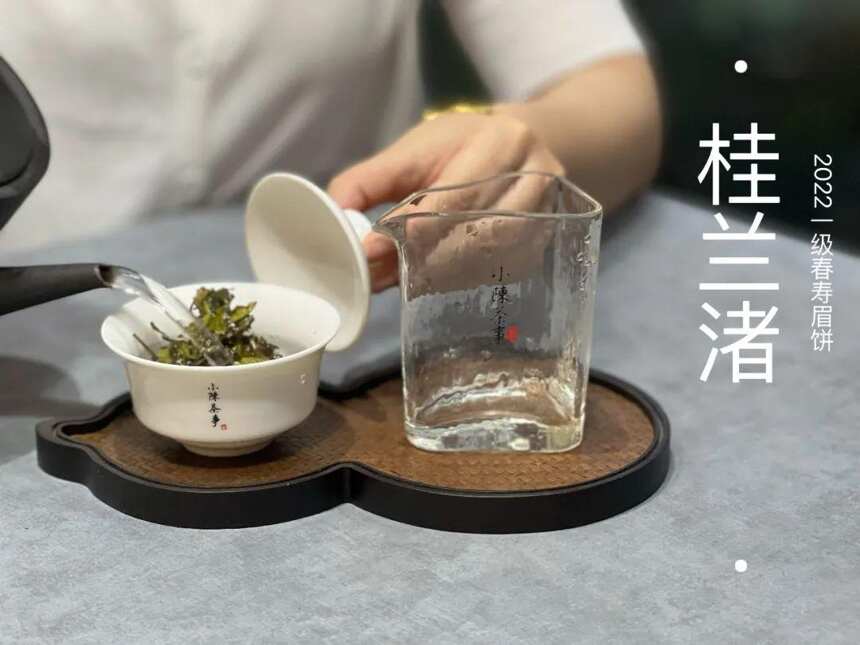 好茶不压饼，所以茶饼都是劣质茶？白茶饼的5问5答，真相来了