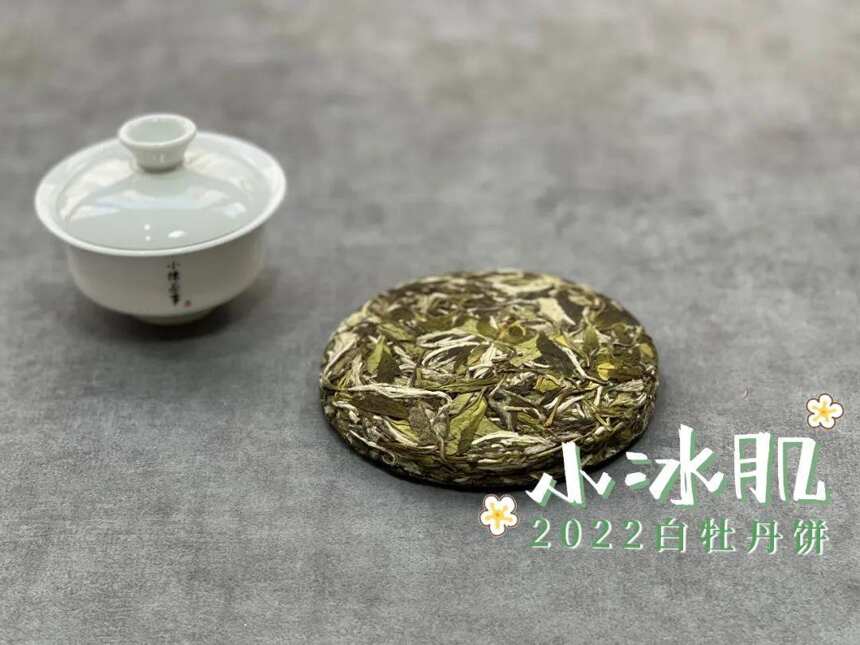 好茶不压饼，所以茶饼都是劣质茶？白茶饼的5问5答，真相来了