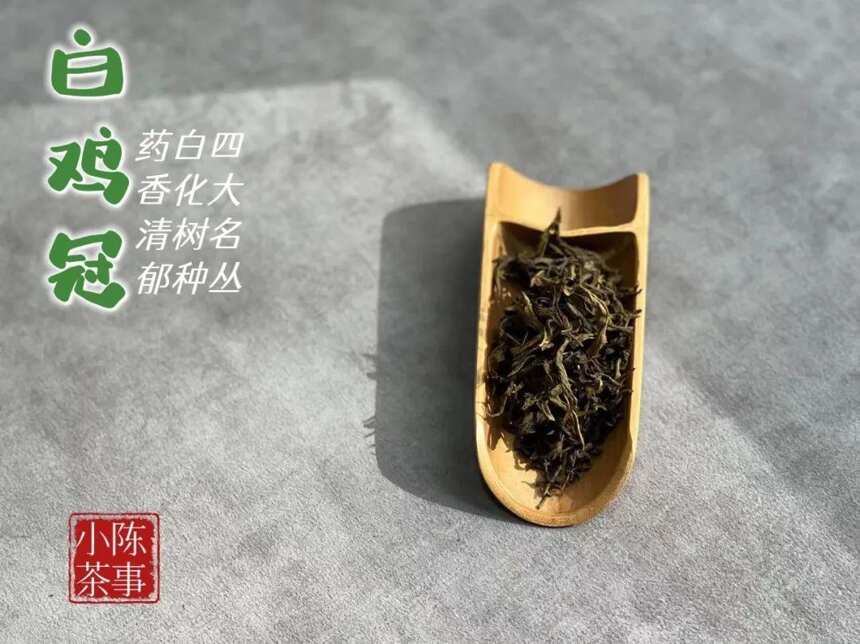 岩茶里，名丛白鸡冠是款什么茶？5个要点，一口气带你看清楚