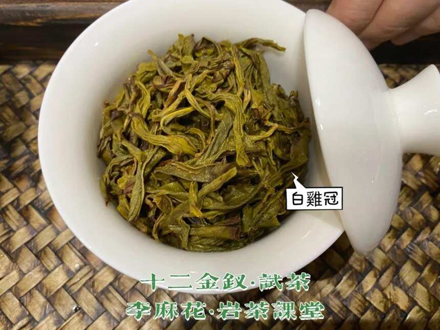 岩茶里，名丛白鸡冠是款什么茶？5个要点，一口气带你看清楚