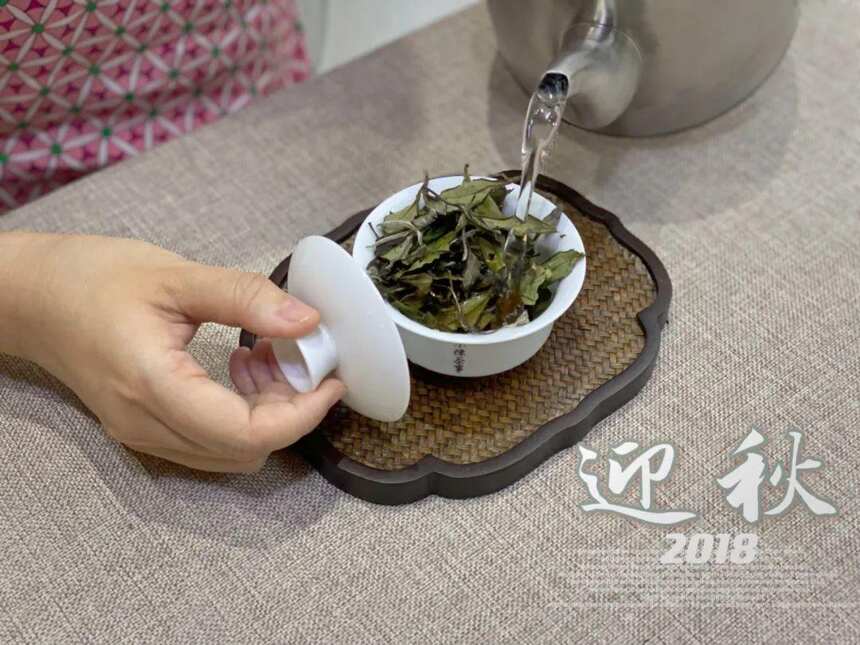 白露茶、秋分茶、寒露茶，大旱来袭，今年的秋白茶它们还好吗？