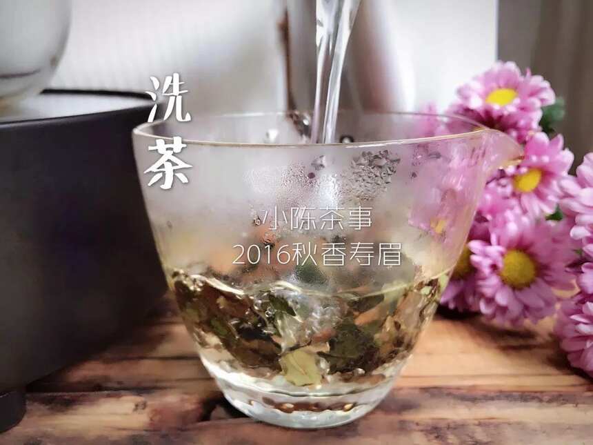 同样都是茶饼，普洱要醒茶、洗茶、润茶，白茶饼是否也要呢？