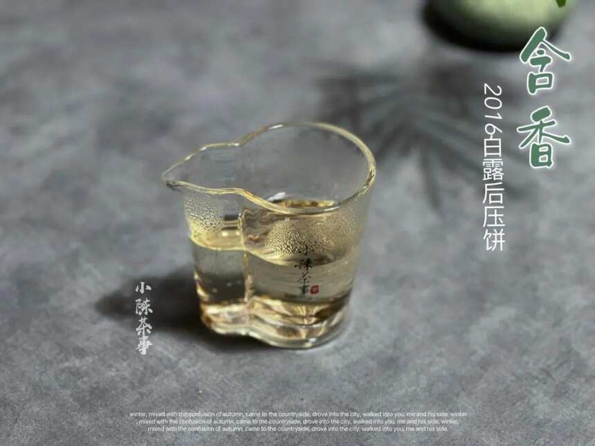 白露茶、秋分茶、寒露茶，大旱来袭，今年的秋白茶它们还好吗？