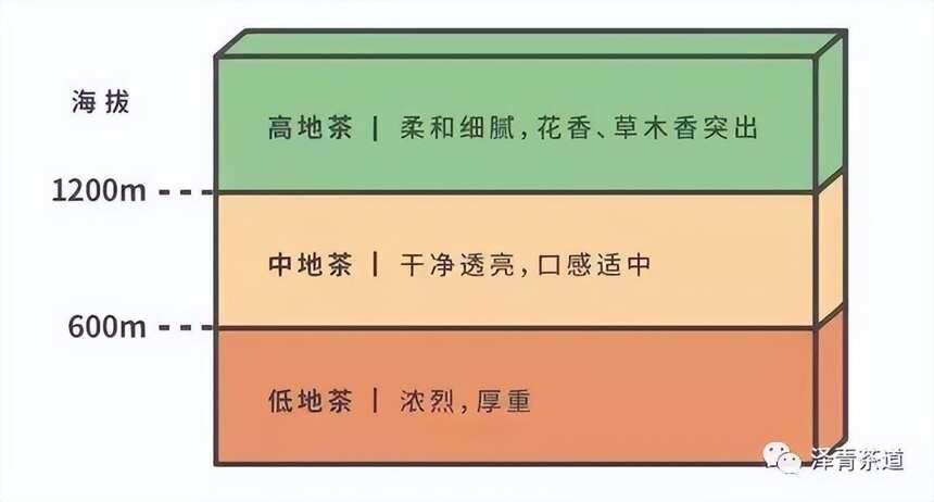 国际茶日 ▏世界各地不同的饮茶文化，你了解几个？