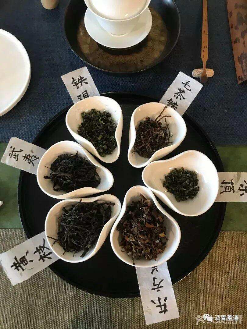 星座数字与时尚茶语