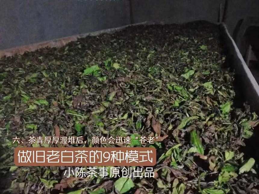 太意外了吧，原来白茶的散茶也能做旧，遇到这3种情况别疏忽大意