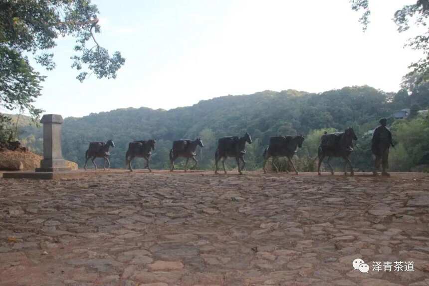 国际茶日 ▏这10个茶叶博物馆，最值得一去