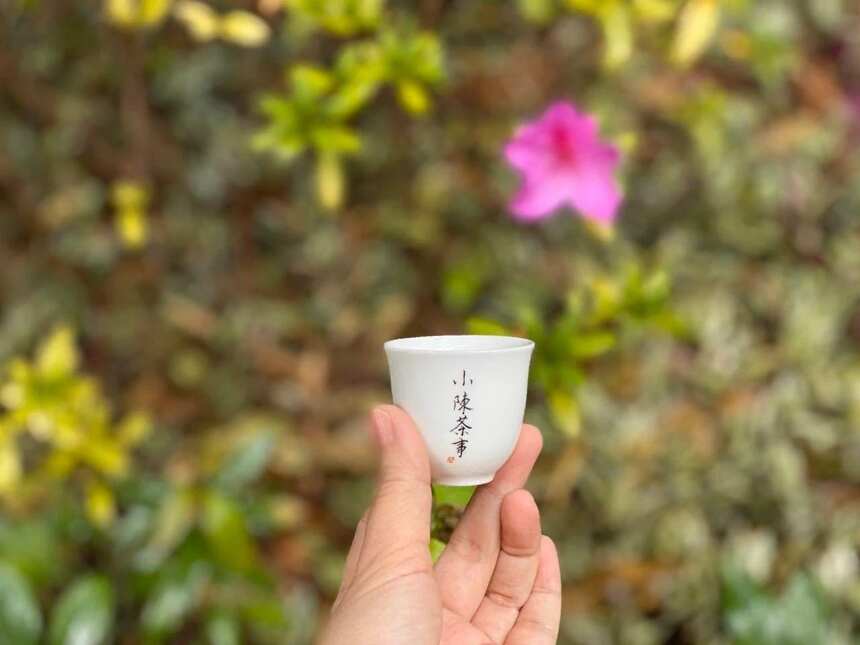 你在茉莉花茶里，喝到过茉莉花瓣？这样的认知，担心被低端茶收割