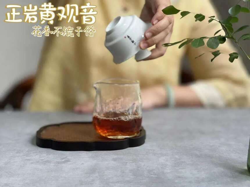 喝岩茶时，如何分清黄观音和肉桂？4点干货，都是多年经验总结