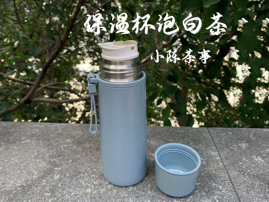 飘逸杯、快客杯、焖茶壶、保温杯，这4种茶具哪个能挑战盖碗？