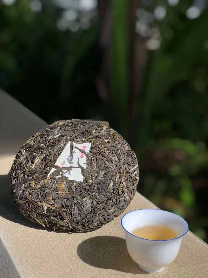 都说老曼峨是最苦的普洱茶，你知道老曼峨甜茶吗？