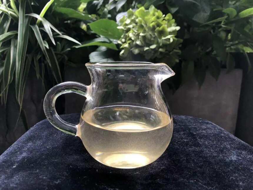 《老徐鉴茶》第548期：2022头春娜罕古树茶品鉴报告